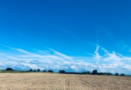 Eceabat Seddülbahir’de Toplam 230 Dönüm Tarla