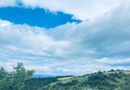 Gelibolu Ocaklı’da Bağ Niteliğin’de 2 dönüm Tarla