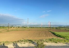 Gelibolu Cevizli’de 4.631 M2 Full Köprü Manzaralı Tarla