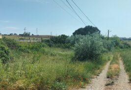 Gelibolu Koruköy’de %25 Villa İmarlı 417 M2 Müstakil Arsa