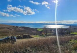 GELİBOLU/YAZICIZADE DENİZ MANZARALI SATILIK TARLA