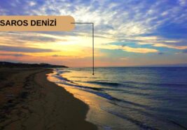 KORUKÖY / SAROS KIYISINA YAKIN SATILIK YATIRIMLIK ARAZİ